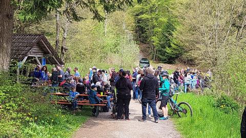 Rückblick Bildersuchwanderung 2023